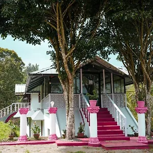 Punarjani Ayurvedic Resort Ramakkalmedu